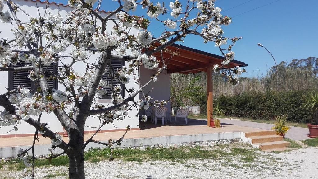 B&B Arcafelice Termoli Exterior photo